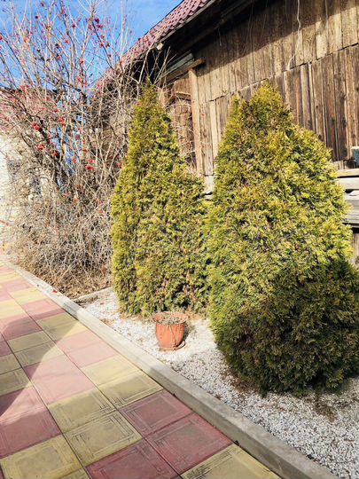 Дом 99,1 м² на участке 3 сот.