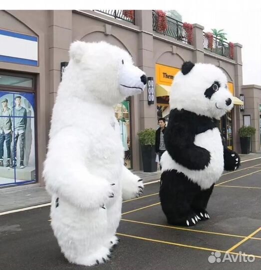 Поздравление от Панды, ростовая кукла