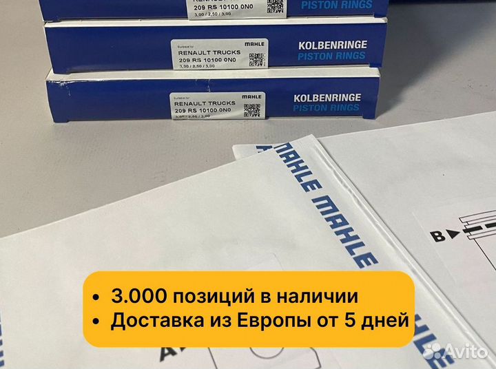 Кольца поршневые 209RS101000N0