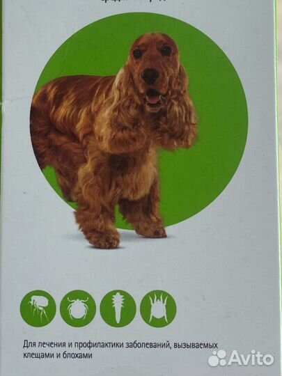 Защита собак от клещей