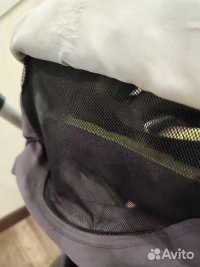 Коляска capella