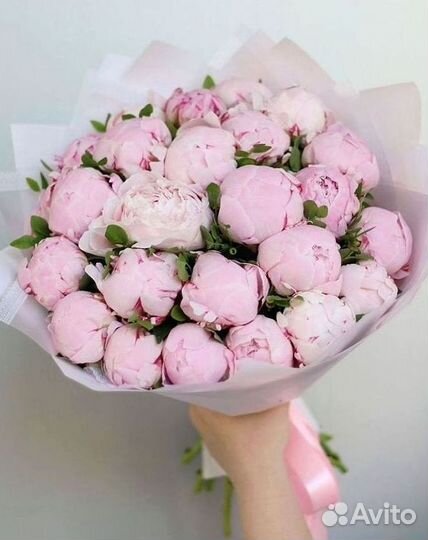 Пионы Букет пионов