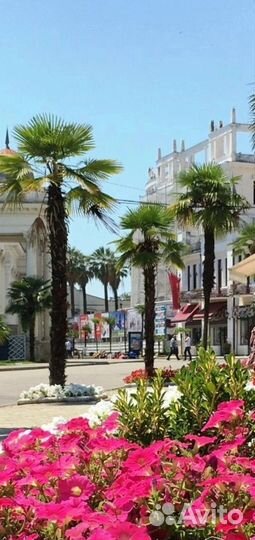 Туры по Абхазии