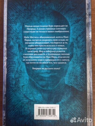 Мэтью Мэзер - Кибершторм