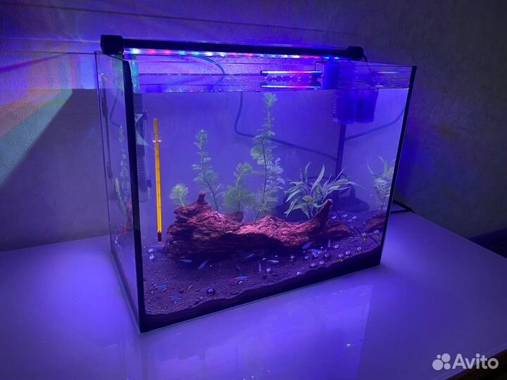 Аквариум + полный комплект для запуска под ключ