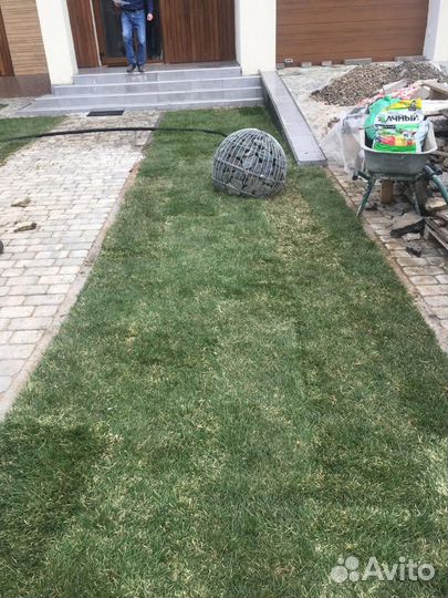 Укладка рулонного газона стандарт