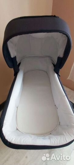 Коляска 2 в 1 adamex