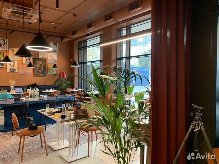 Прибыльный готовый ресторан от thefoodhubgroup