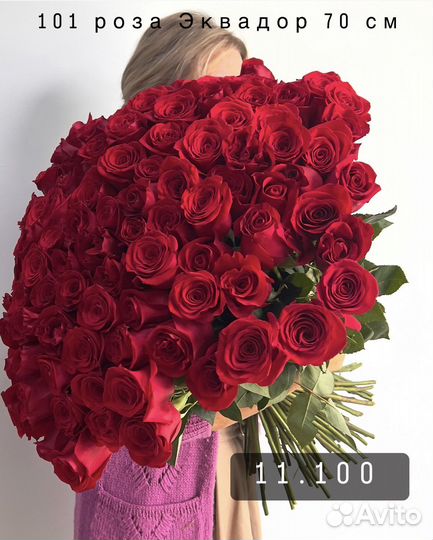 Букет 25 роз. Роза Эквадор оптом