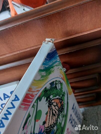 Алмазная мозаика 2в1