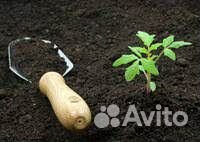 Плодородный грунт