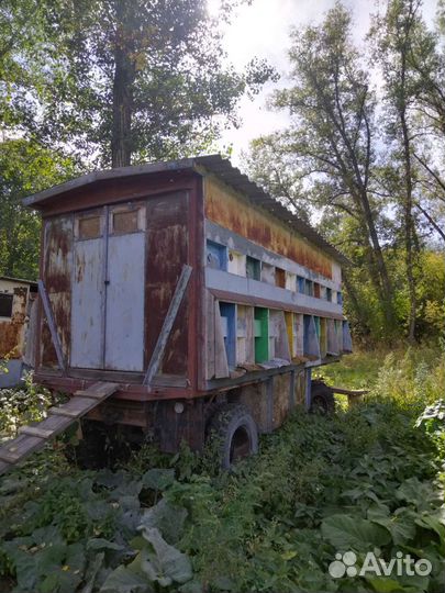 Павильон для пчел