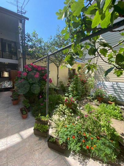 Комната 20 м² в > 9-к., 1/2 эт.