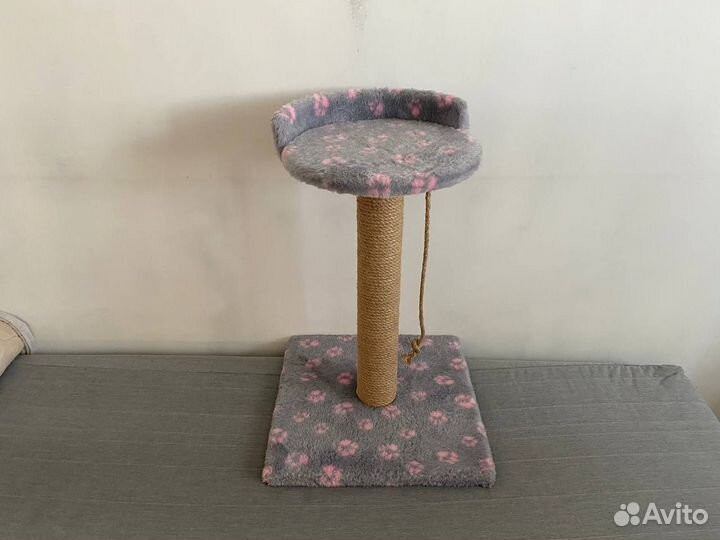 Когтеточка