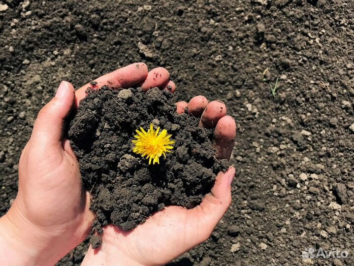 Земля для газона