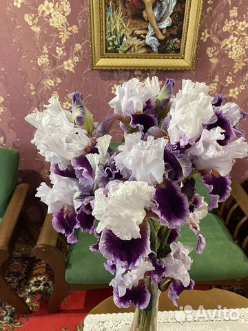 Цветы ирисы