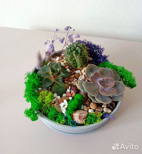 Флорариум с суккулентами
