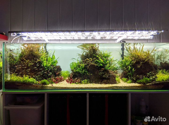 Вулканическая лава для аквариума