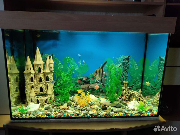 Аквариум