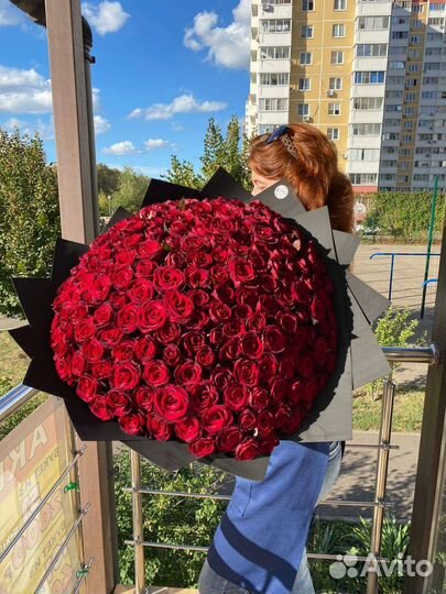 51 роза, 101 роза