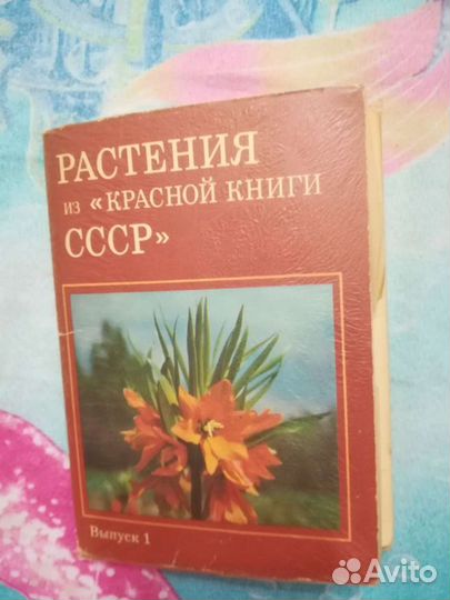 Наборы открыток