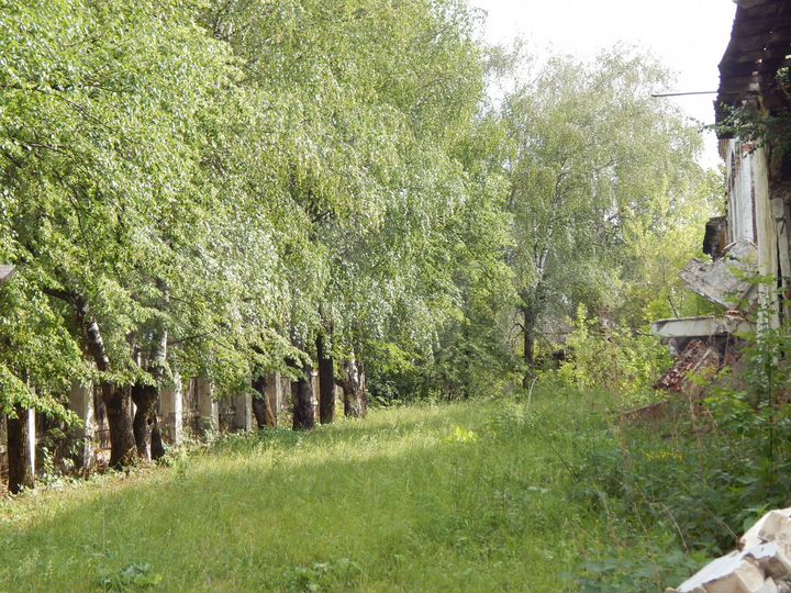 Участок 98 сот. (ИЖС)