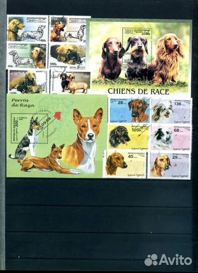 Фауна-часть 8