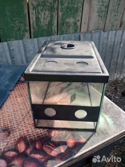 Аквариум для улиток