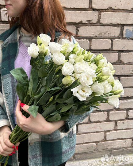 Белая эустома (Лизиантус)