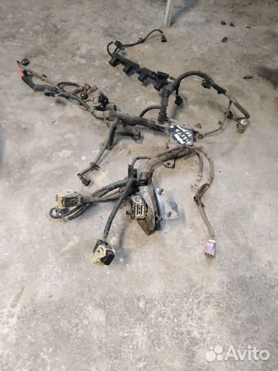 Форд фиеста 6 проводка моторная