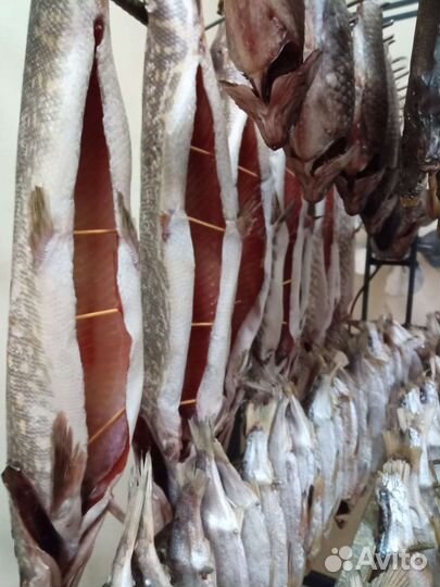 Омуль (вся северная рыба) Хол.копч. от производит