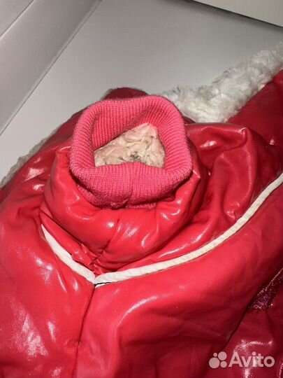 Одежда для маленьких собак