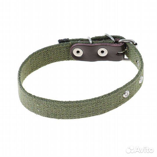 Ошейник для собак