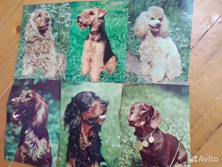 Открытки (СССР) коллекционные