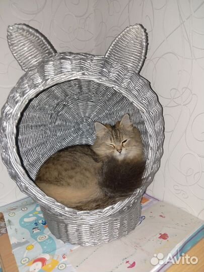 Домик для кота или маленькой собачки