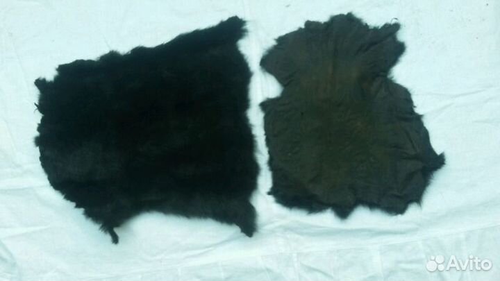 Натуральная шкура сурка