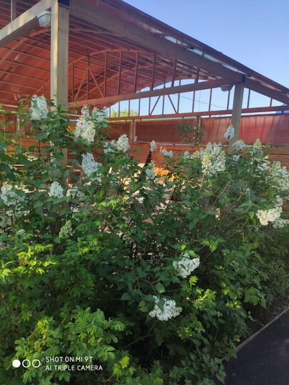 Дом 144 м² на участке 6,4 сот.