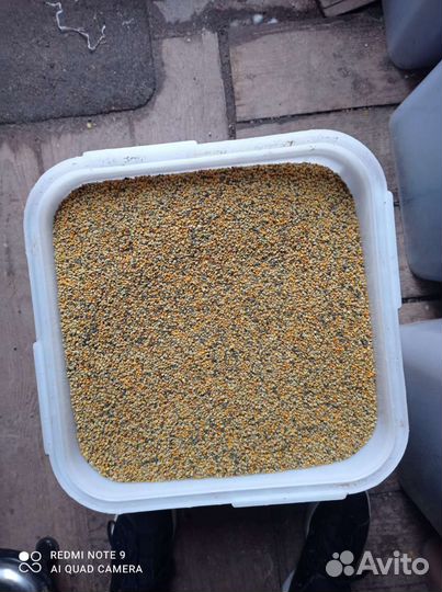 Пыльца пчелиная