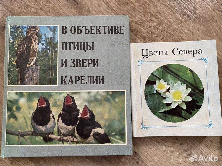 Книги Карелия