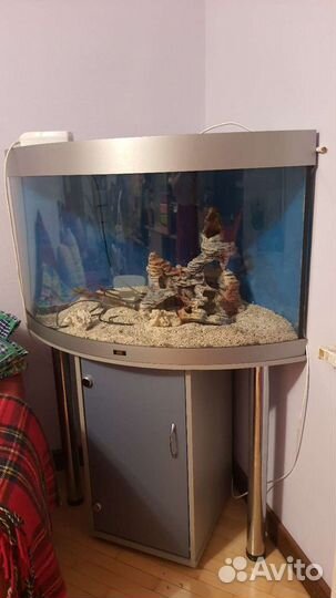 Аквариум угловой с тумбой juwel 190 литров