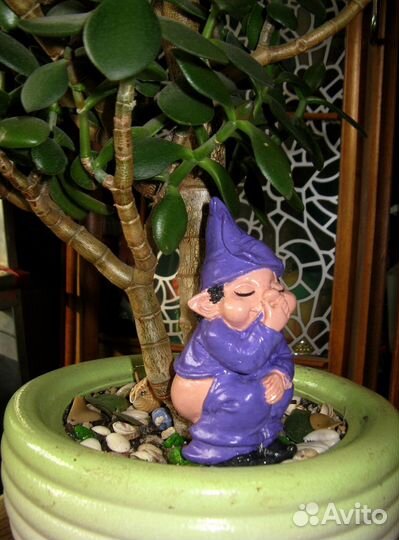 Смешные гномы в коллекцию