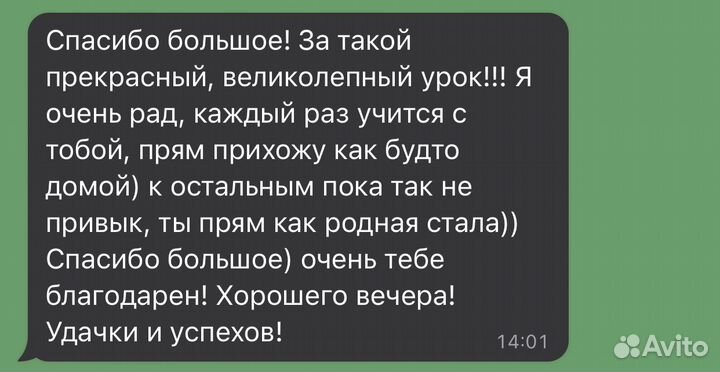 Репетитор по русскому языку и литературе. Егэ/Огэ