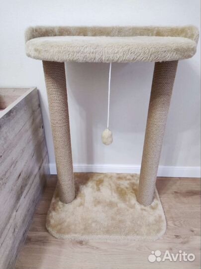 Когтеточка