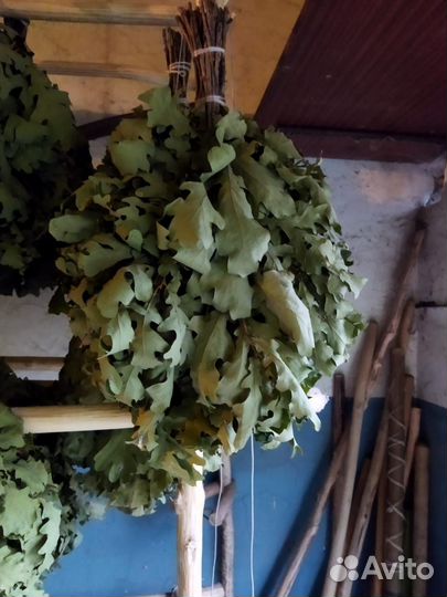 Продам веники для бани