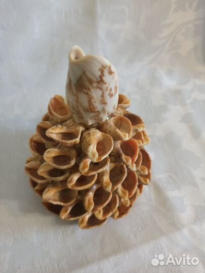 Сувенир из ракушек