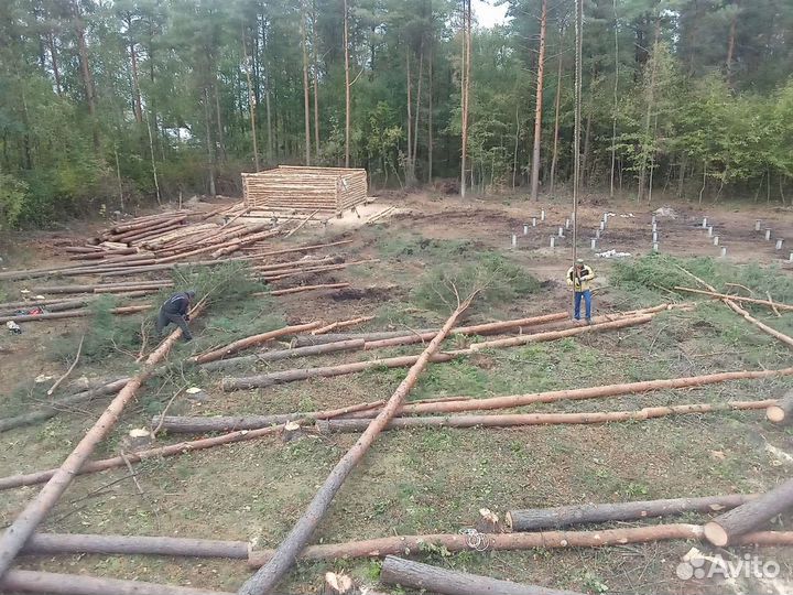 Вальщики леса