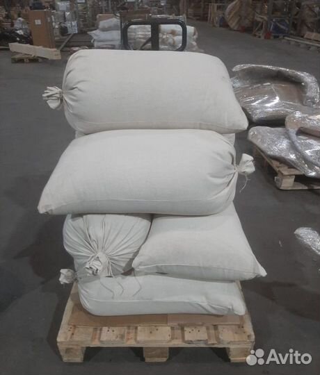 Семена ели обыкновенной