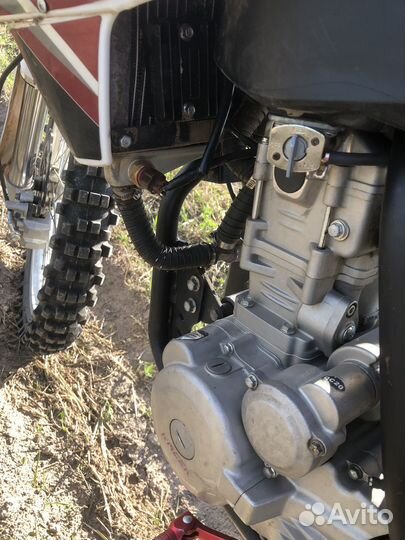 Racer SR-X Cross X2 300