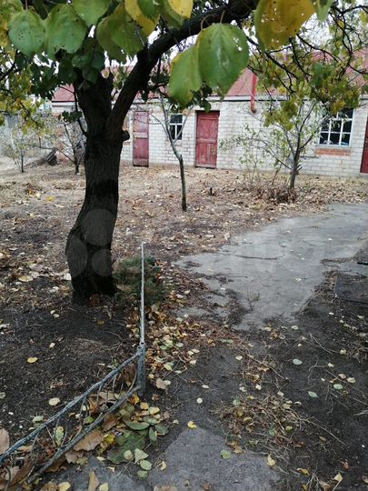 Дом 70 м² на участке 10 сот.