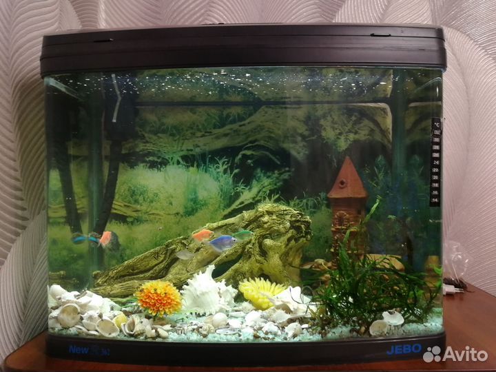 Аквариум с рыбками